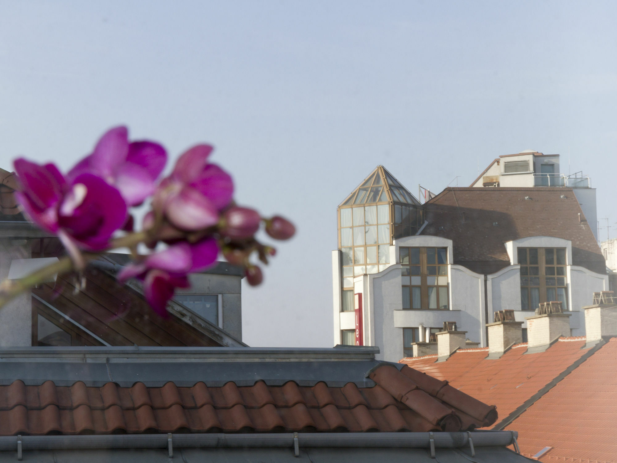 Mariahilf Terrace By Welcome2Wien Eksteriør billede